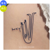 AnOther草本果汁仿真ins创意极简线条纹身贴买一送一不反光持久