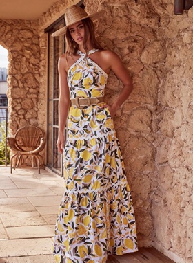 澳大利亚轻奢RV 女款 $805 Amarilla 柠檬印花无袖连衣裙