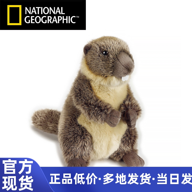 公仔旱獭毛绒玩具仿真动物