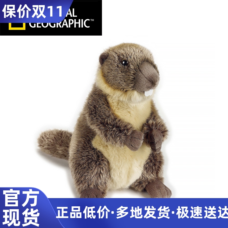 公仔旱獭毛绒玩具仿真动物