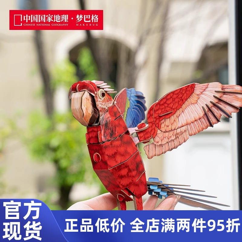 鸟类红绿金刚鹦鹉自然科普