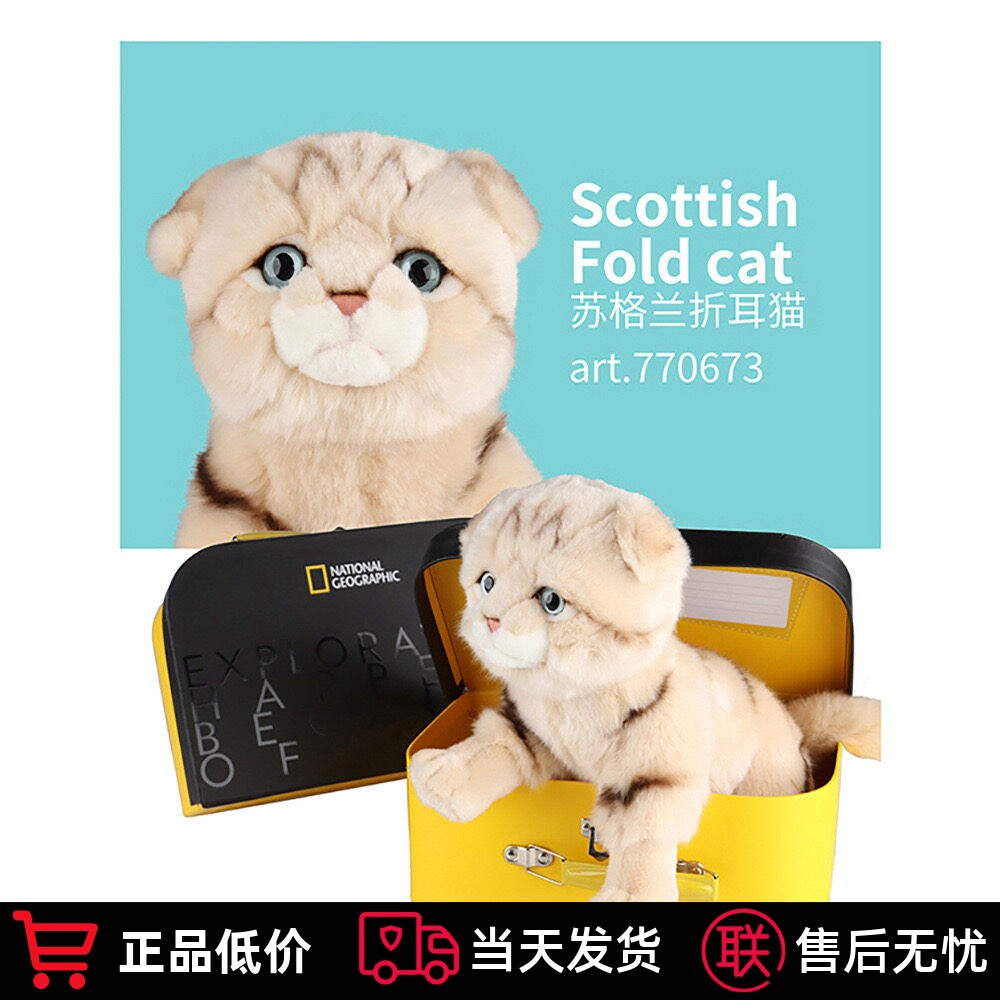 仿真英国猫咪拉布拉多毛绒玩具