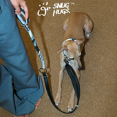 snughugs编织狗狗牵引绳宠物加宽狗绳手工皮质中型犬小灵缇惠比特