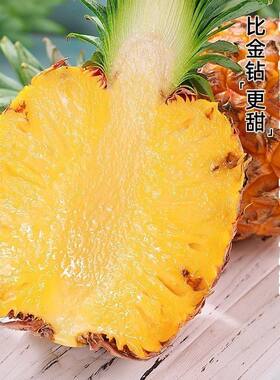 海南芒果凤梨台农23号金芒凤梨菠萝金钻新鲜水果应季现摘礼盒整箱