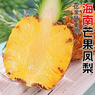 海南芒果凤梨台农23号金芒凤梨菠萝金钻新鲜水果应季现摘礼盒整箱