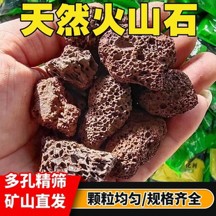 火山石颗粒兰花多肉颗粒专用盆栽水族鱼缸造景火山岩营养土铺面石