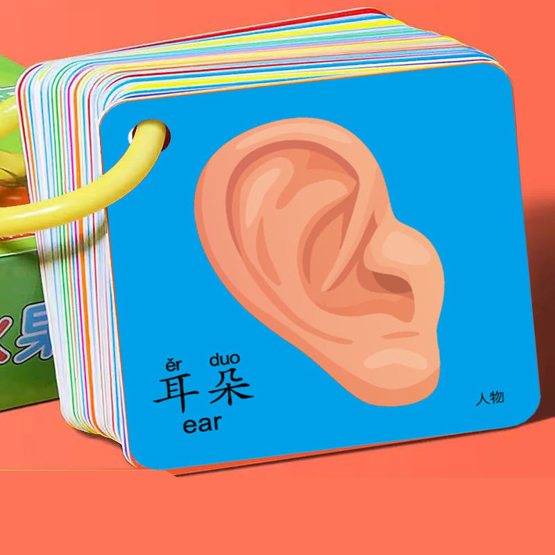 儿童撕不烂早教卡益智学习卡片宝宝启蒙玩具看图识字卡动物认知书