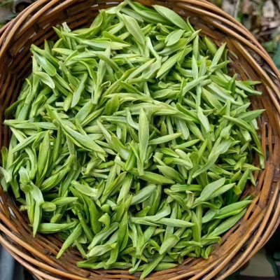 霍山黄芽2025新茶明前头采全芽头黄芽核心产区兰花香型罐装250克