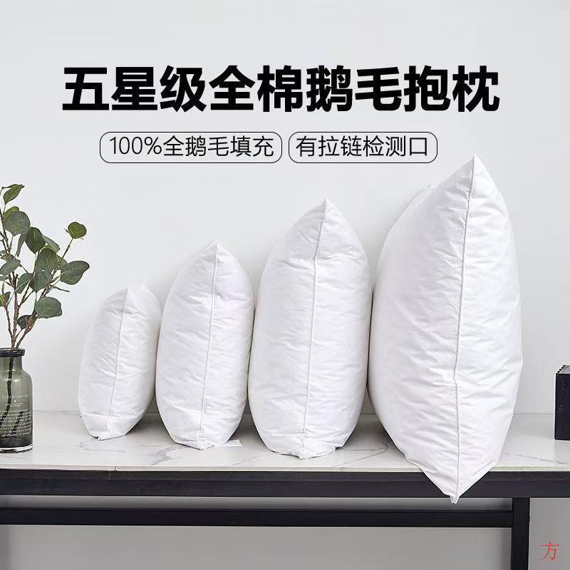 羽绒枕芯靠垫鹅毛腰垫沙发抱枕正方形酒店枕头内胆办公室靠背枕芯
