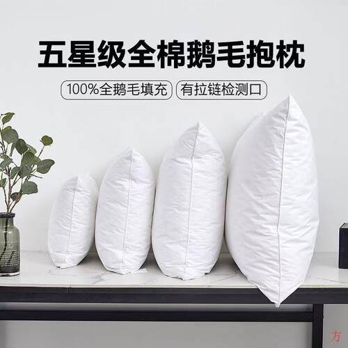羽绒枕芯靠垫鹅毛腰垫沙发抱枕正方形酒店枕头内胆办公室靠背枕芯