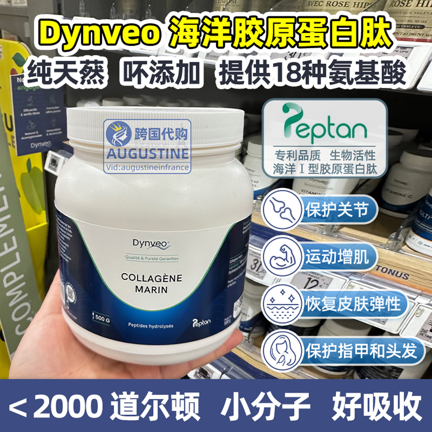现货法国Dynveo海鱼胶原蛋白肽粉peptan 无激素纯粉1型小分子水解