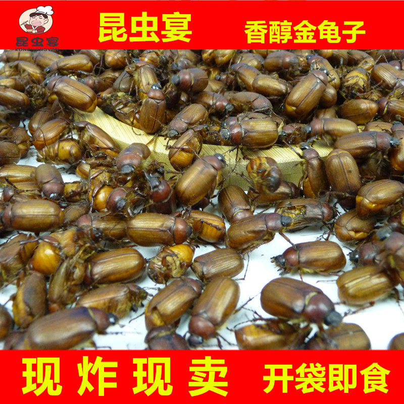 金龟子炸食用昆虫昆虫宴棕色金龟子黄色金龟子即食胖孩瞎撞子炸虫