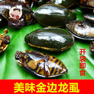 油炸大金边龙虱美味食用昆虫水老鳖大金边鳖盖虫水龟子射尿龟即食