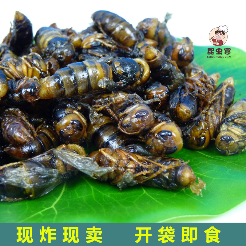 即食昆虫油炸蜂蛹昆虫宴高蛋白