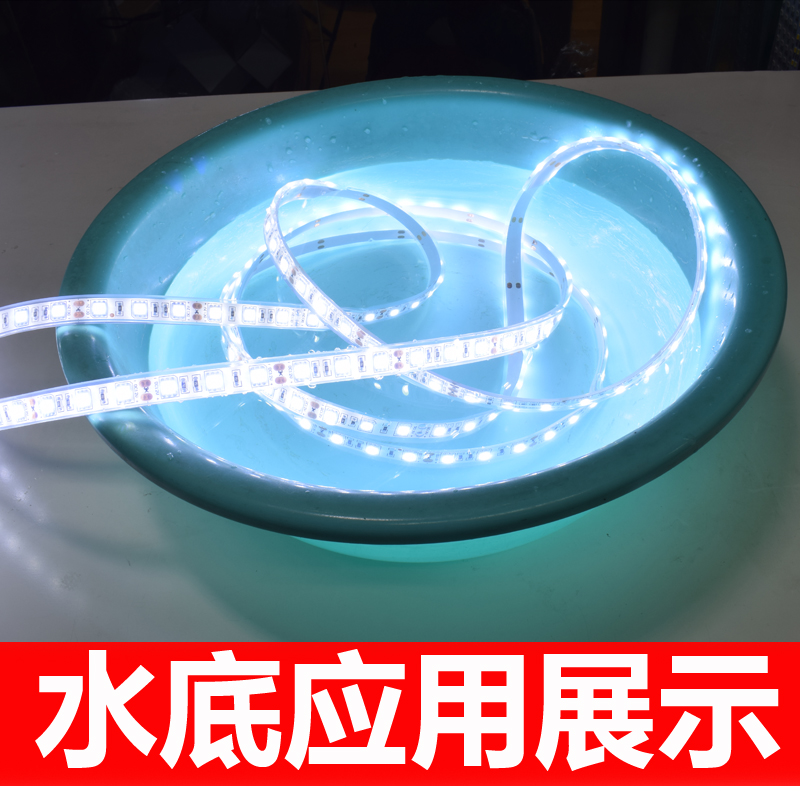 led灯带 12V5050套管灌胶正白光贴片软灯条户外防水鱼缸装饰灯带