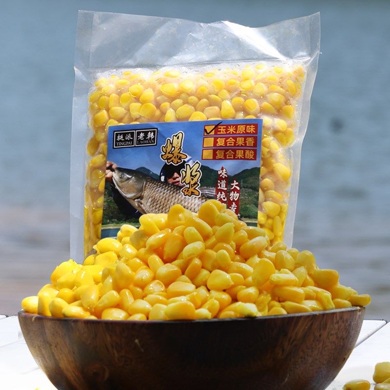 新鲜甜嫩玉米粒钓鱼专用巨物大物挂钩饵料青鳊翘嘴草鱼玉米打窝料,户外/登山/野营/旅行用品,台钓饵,淘宝优惠券,粉丝福利购,淘宝优惠卷