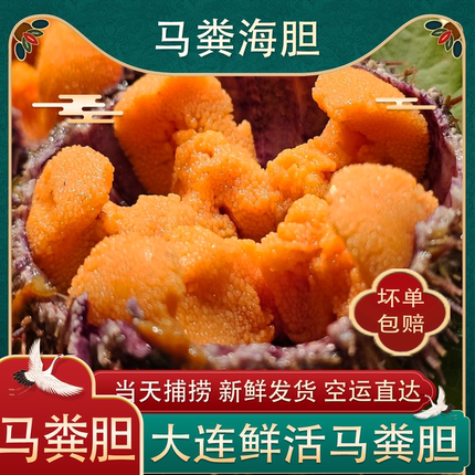 大连马粪海胆黄金海胆鲜活海胆肉水盒即食刺身新鲜水饺炒饭500g