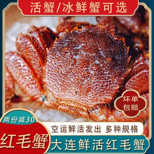 大连发货红毛蟹鲜活/冰鲜可选