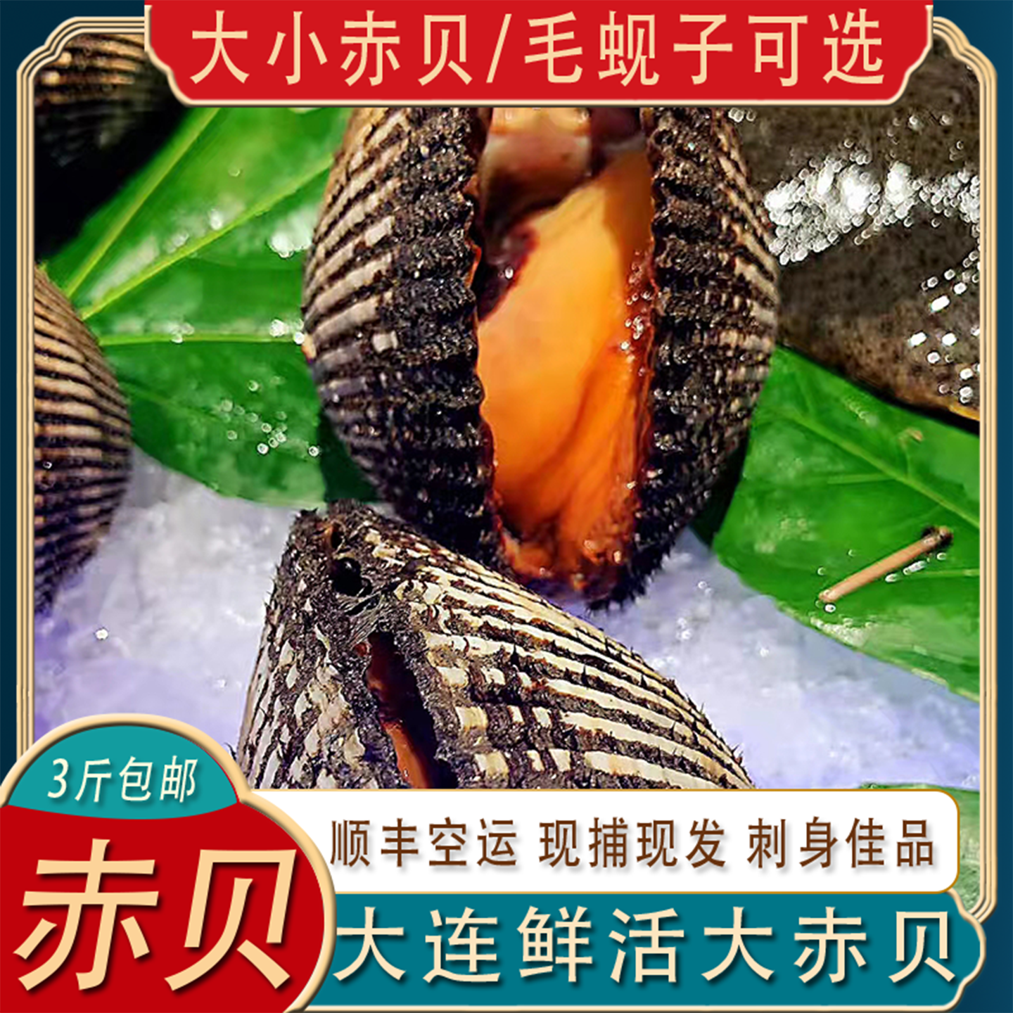 大连鲜活大赤贝肉刺身新鲜毛蛤血蛤毛蚬子蜊贻贝海鲜即食日料500g