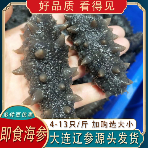 大连即食海参500g开袋底播辽刺参冷冻海鲜水产4-13只礼盒送礼 - 封面