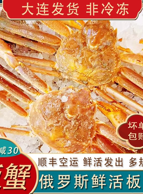 大连发货鲜活俄罗斯松叶蟹板蟹