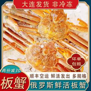 俄罗斯鲜活松叶蟹板蟹雪蟹长脚蟹特大螃蟹新鲜大连闪送海鲜水产