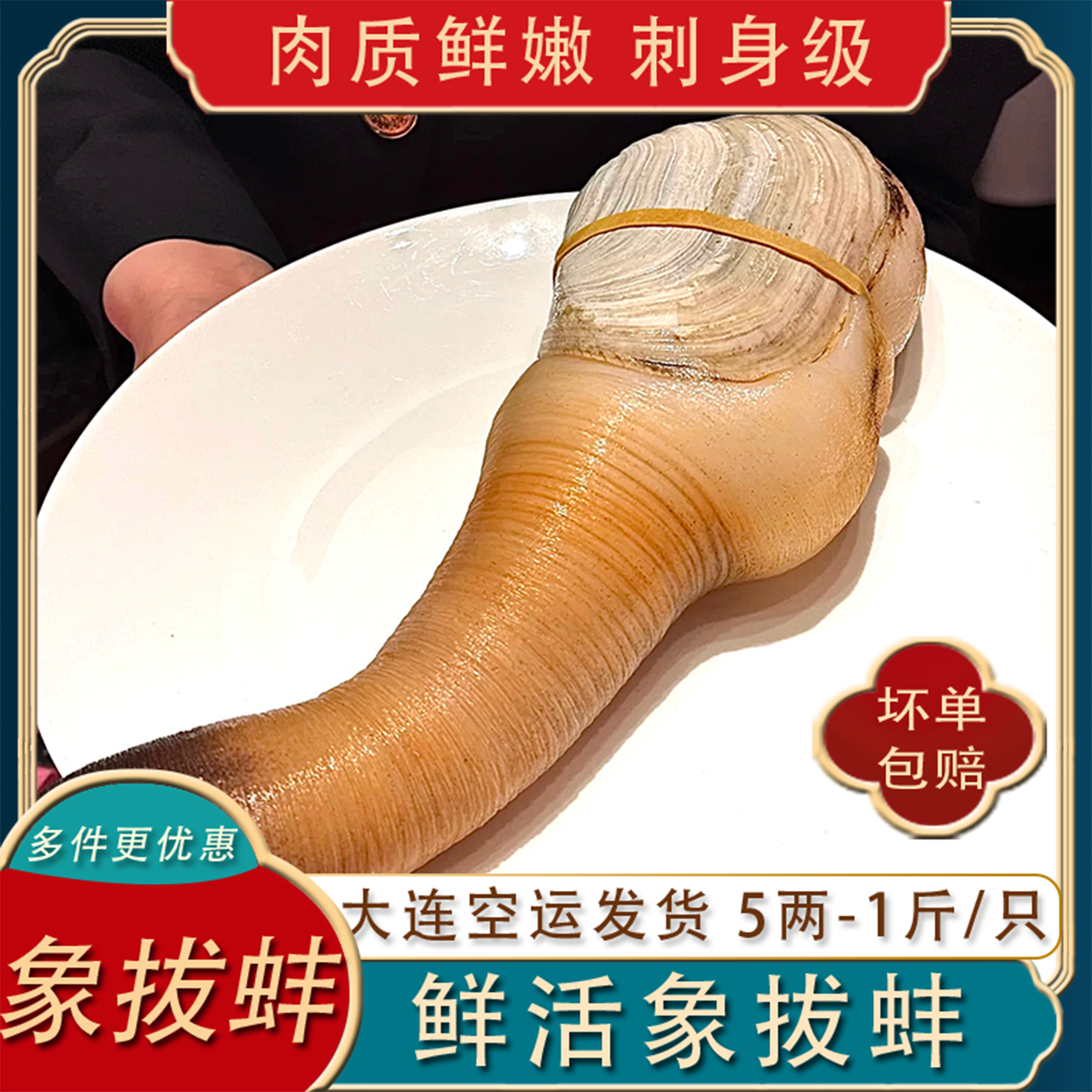 象拔蚌鲜活500g刺身大连空运发货