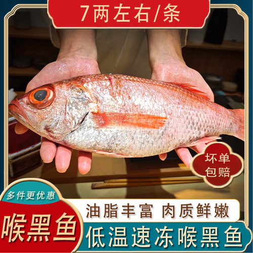 喉黑鱼冷冻8两/条赤鯥鱼冻红果鲤