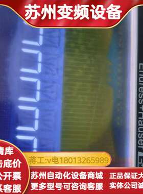 恩德斯豪斯EH RIA452过程控制器，型号RIA45