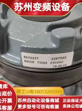 #SEW电机制动器刹车抱闸总成BMG8 55Nm~75Nm