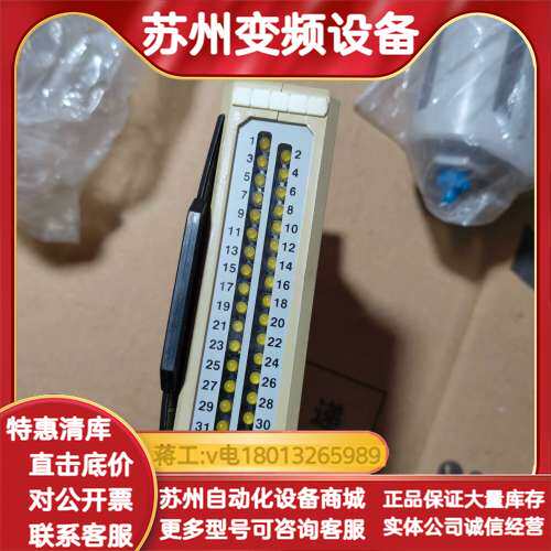 LUTZE数字输入模块 DF-DI-32，743304，