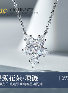 鑫万福 人工培育钻石项链一克拉hw项链PT950铂金cluster项链
