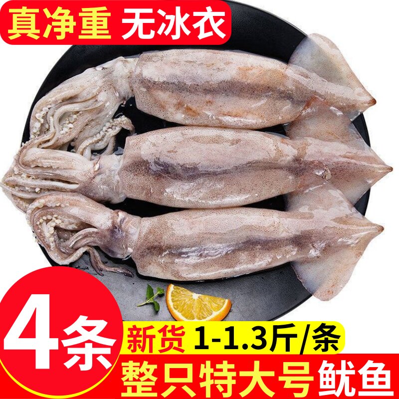 超大新鲜鱿鱼生鲜整只铁板烧烤专用商用鲜活冷冻批发火箭尤鱼须串