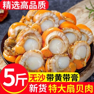 扇贝肉新鲜冷冻特大号带黄带膏商用海鲜水产红贝批发黄蚬子鲜活