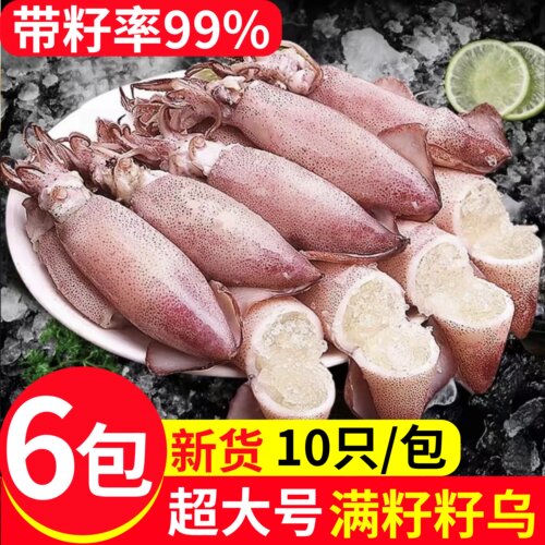新鲜海兔子籽乌满籽鱿鱼10只11袋
