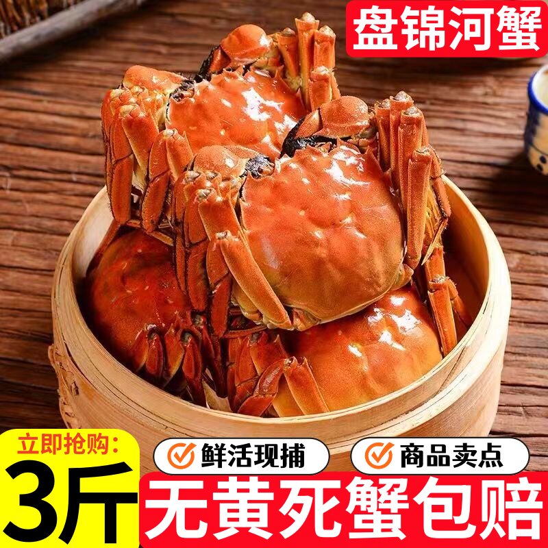 盘锦鲜活特大母河蟹礼盒