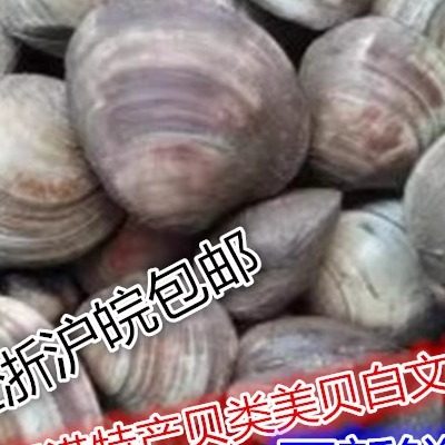 连云港海鲜鲜活贝类美贝四不像一点红白文蛤黄蚬海蛤蜊500克8元