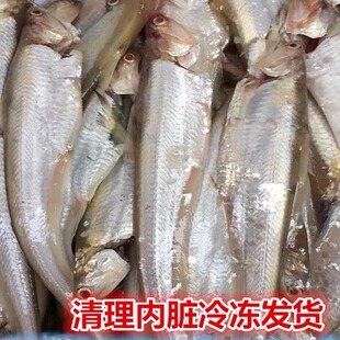 连云港特产海毛刀鱼凤尾鱼海刀鱼柳叶鱼海鲚鱼非淡水炸鱼干250克