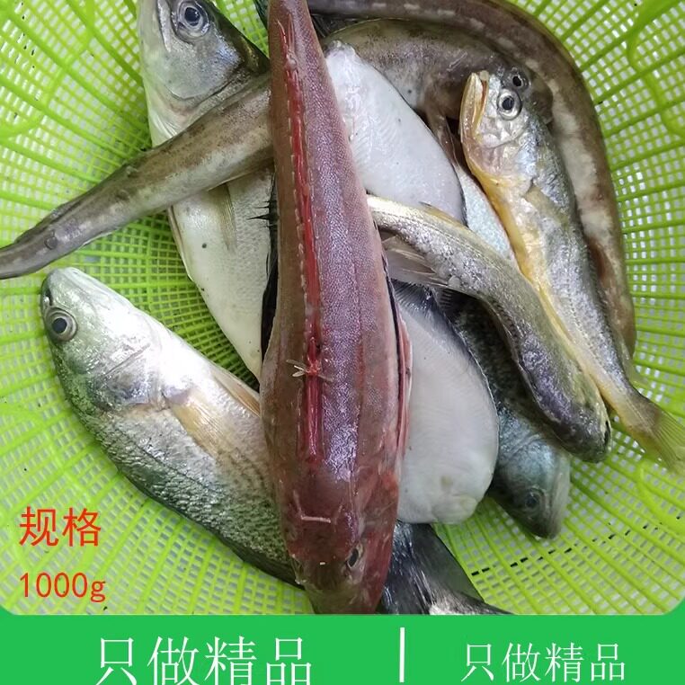 大连海鲜水产新鲜鱼类鲜鱼深海海捕拼盘海鱼鲜活组合杂拌鱼小杂鱼