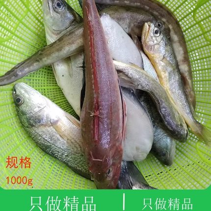 大连海鲜水产新鲜鱼类鲜鱼深海海捕拼盘海鱼鲜活组合杂拌鱼小杂鱼