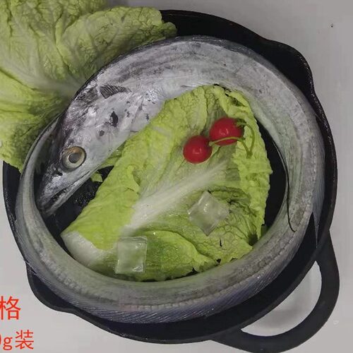 大连海鲜顺风时效快渤海刀