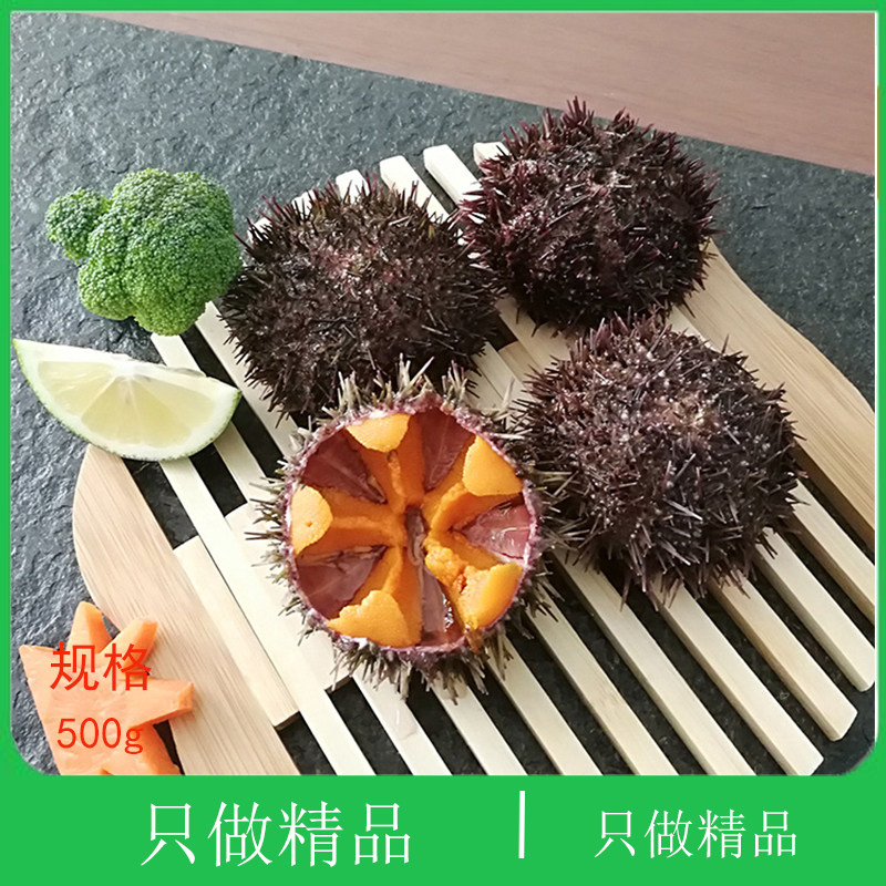 大连刺锅黄金虾夷黄胆小平岛海刺猬新鲜紫胆即食刺身鲜活马粪海胆