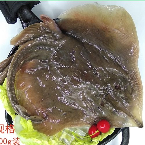 大连海鲜老板鱼顺丰时效