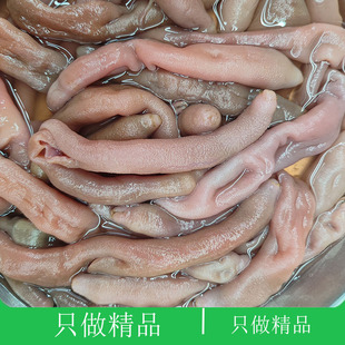 大连海鲜特产新鲜去内脏免处理沙虫火锅烧烤饺子捞饭厚皮鲜活海肠