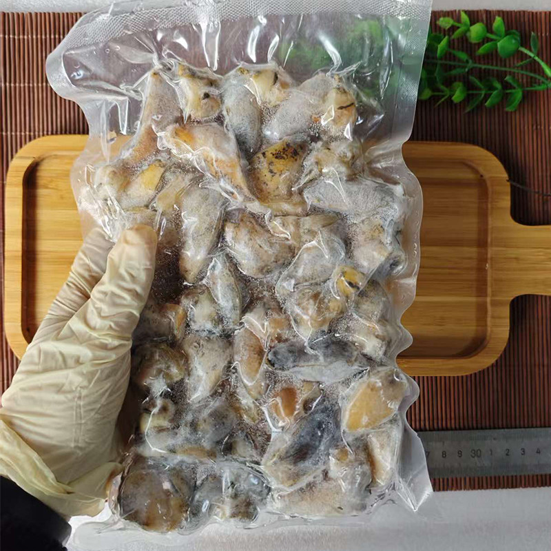 大连特产假鲍鱼甲鲍鱼黏螺新鲜纯肉蛾螺海蜗牛老婆脚大冷冻鲍螺肉