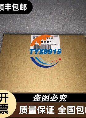 价模块 IB IL AO 2/U/BP NO:2861467实物