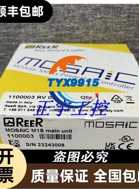 REER安全继电器MR4 MOSAIC 1100041 M1S MOSAIC 1100003价