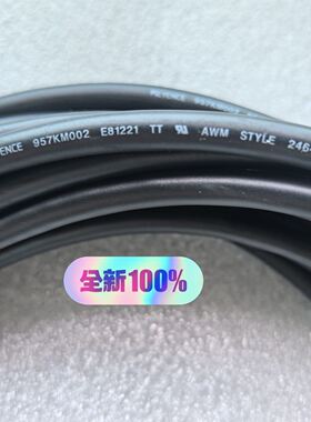 KEYENCE基恩士 957KM002 E81221