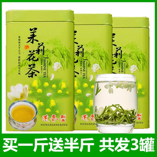 2025新茶茉莉花茶茶叶浓香型小白毫罐装 500g柏芯香 绿茶花草茶散装