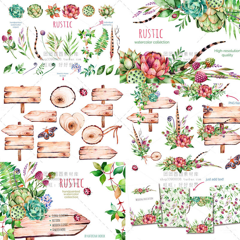 清新绿色水彩手绘多肉植物PNG免抠素材平面网页森系设计素材